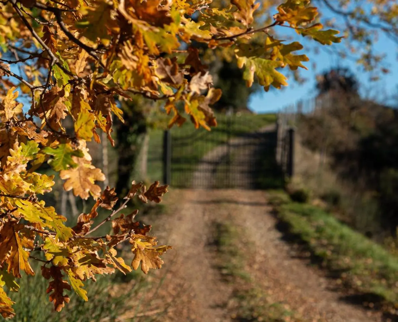 Villa Lux Poggelleri Vista Unica Sul Casentino بوبّي